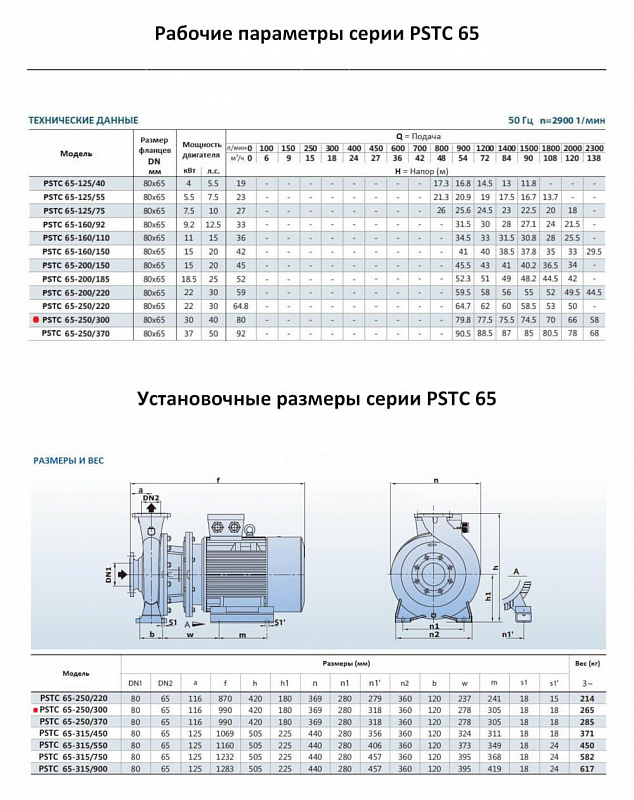 Моноблочный фланцевый насос Purity PSTC 65-250/300 (N) (арт. 100588155)